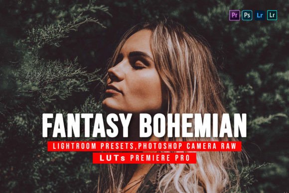Download 5 Fantasy Bohemian Presets and Luts - Bohemian presets Collection