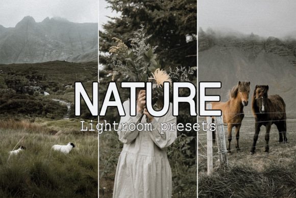 Download 9 Nature Lightroom Mobile Presets - Lightroom mobile Collection