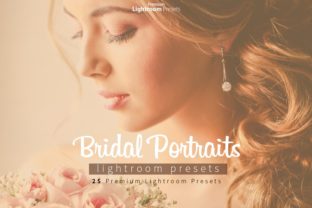 Download Bridal Portraits Lightroom Presets - Portraits Collection