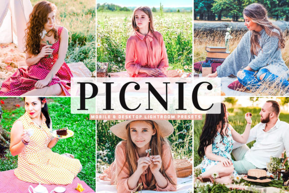 Download Picnic Pro Lightroom Presets Pack - Premium Bundle