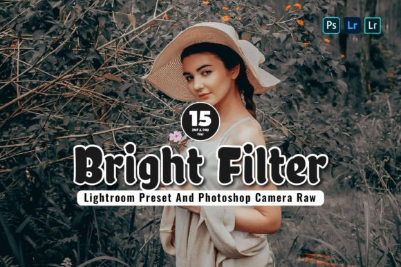 Download 15 Bright Filter Lightroom Presets - Filter Collection